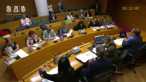 Reunió 12 Comissió de Polítiques d'Igualtat de Gènere i del Col·lectiu LGTBI