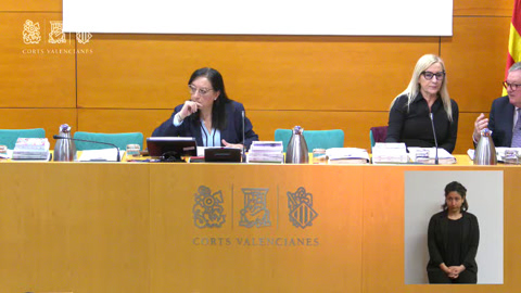 Sessió 4 Diputació Permanent