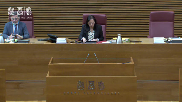 poster Sessió 53-1 Ple