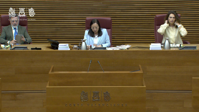 poster Sessió 55-1 Ple