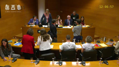 Reunió 19 Comissió d'Educació i Cultura